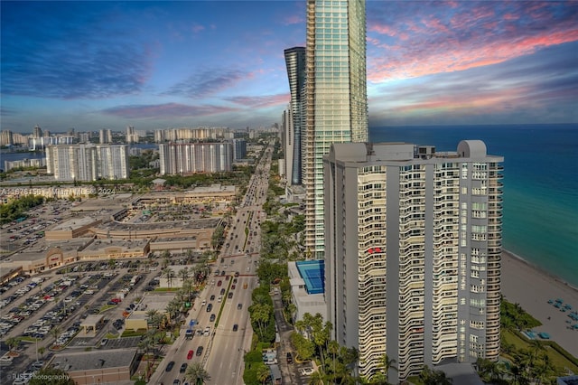 city view featuring a water view and a view of the beach