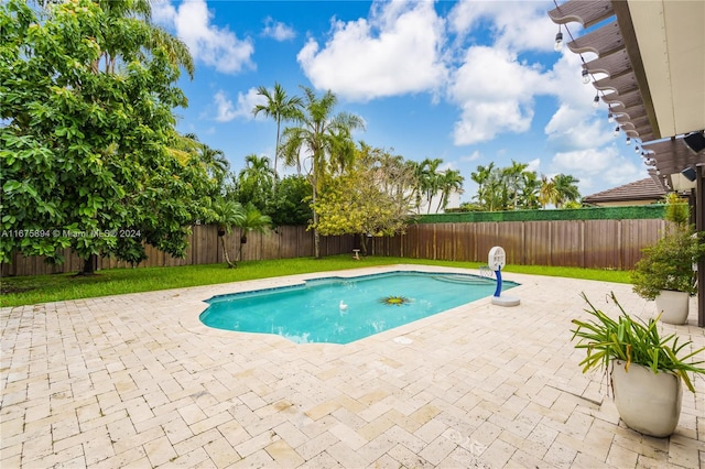 view of pool featuring a patio