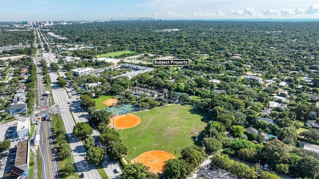 bird's eye view