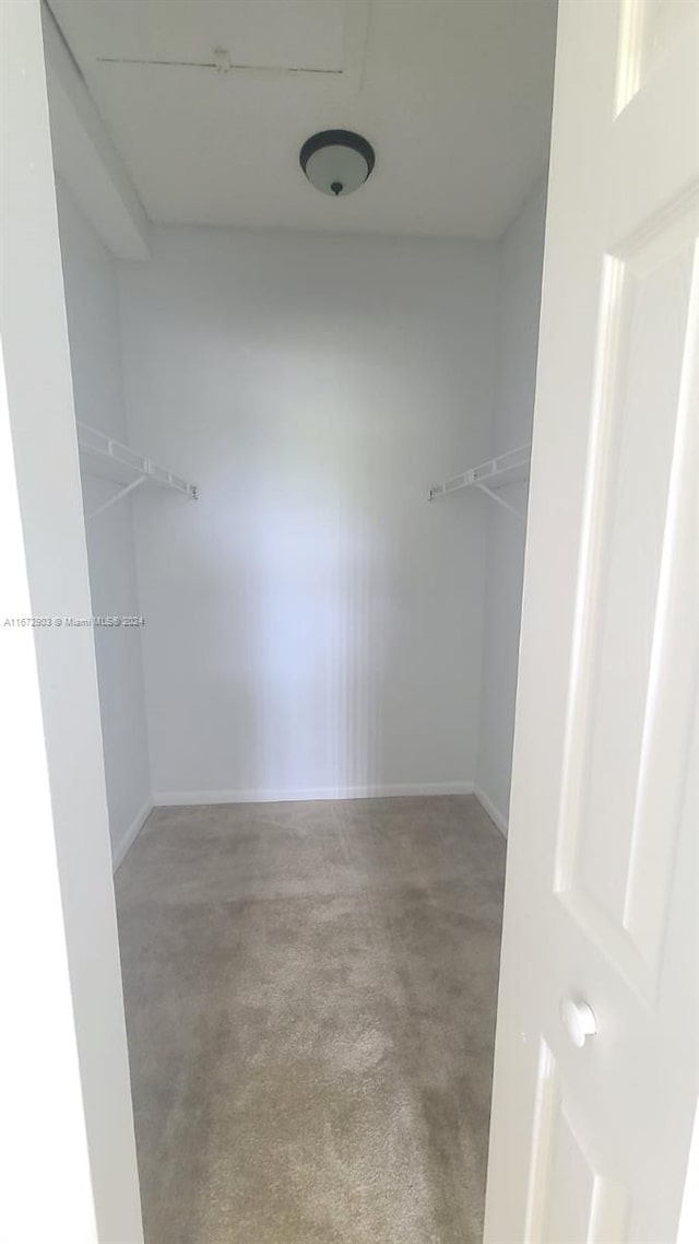 walk in closet featuring carpet floors