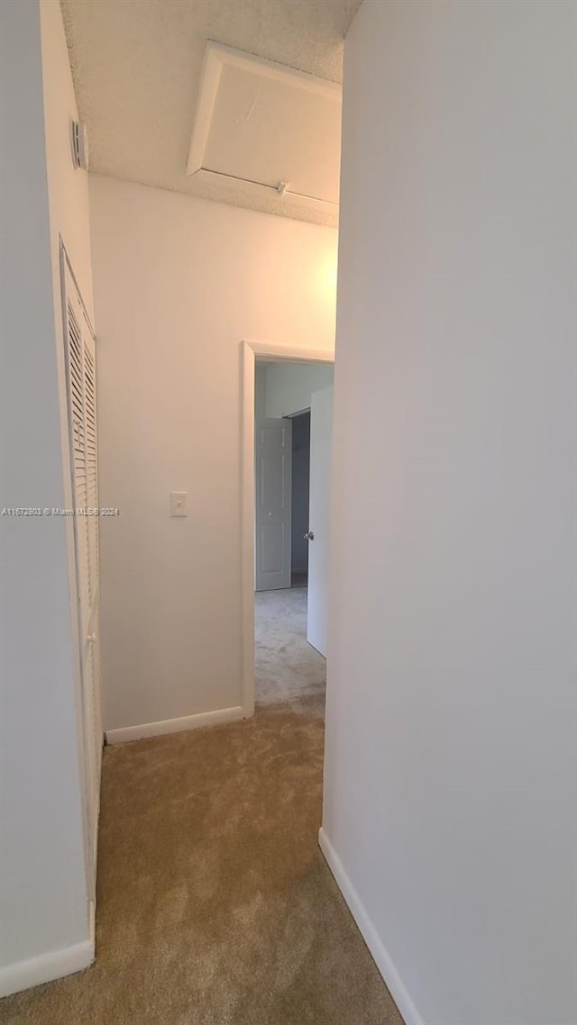 hallway featuring carpet floors