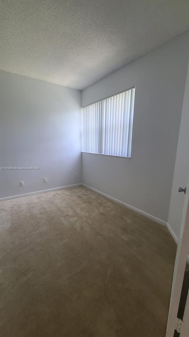 unfurnished room with carpet floors and a textured ceiling