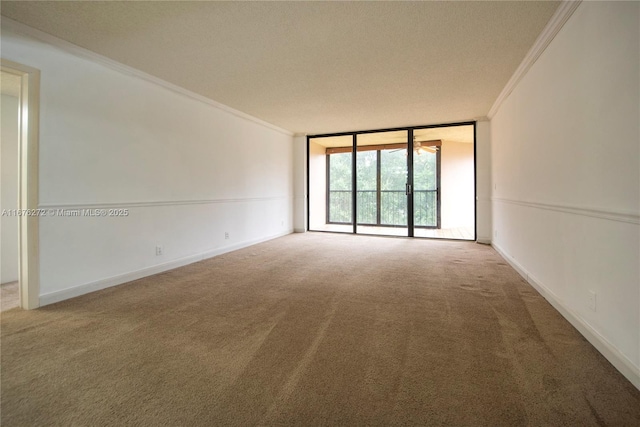 spare room featuring a textured ceiling, expansive windows, ornamental molding, and carpet
