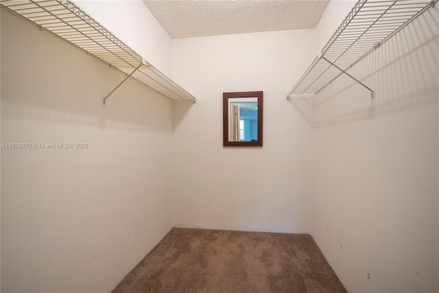 spacious closet with carpet floors