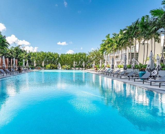 view of swimming pool with a patio