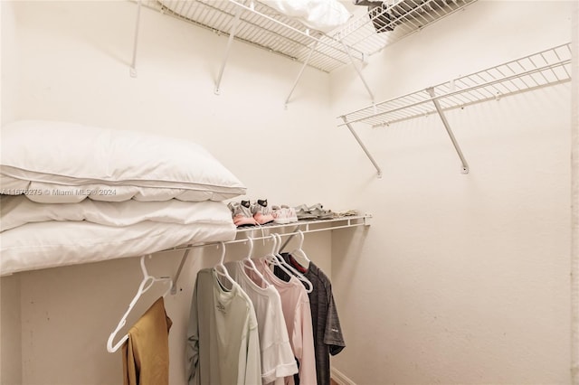 view of spacious closet