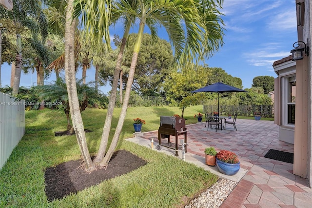 view of yard with a patio area