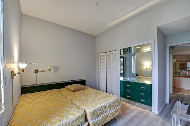 bedroom with a closet and wood-type flooring