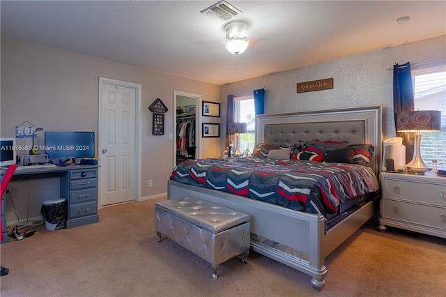 carpeted bedroom featuring a closet and a spacious closet