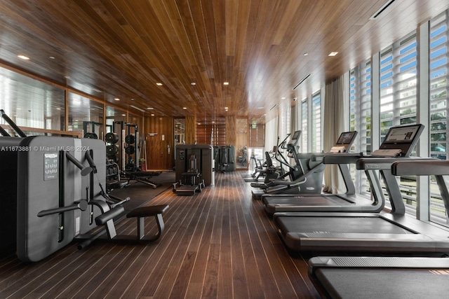 workout area featuring dark hardwood / wood-style floors, wooden ceiling, and a healthy amount of sunlight