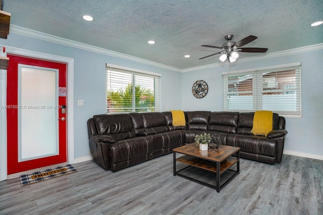 living room featuring ceiling fan, crown molding, light wood-type flooring, and a textured ceiling