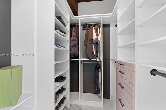 view of spacious closet