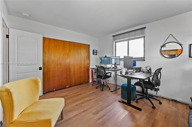 office featuring wood-type flooring