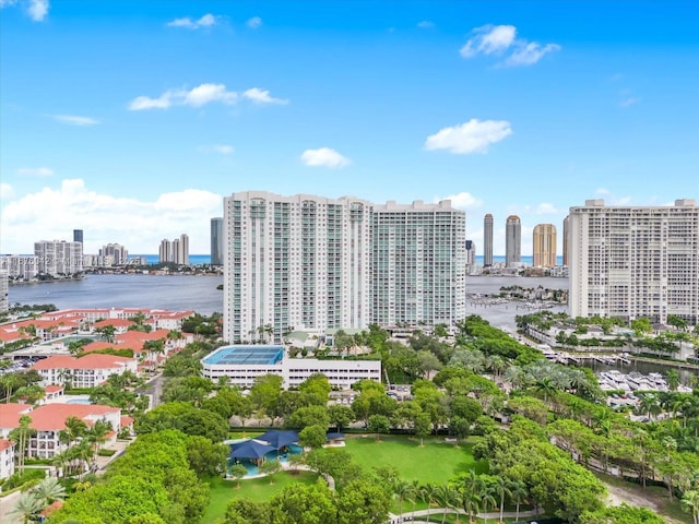 aerial view with a water view