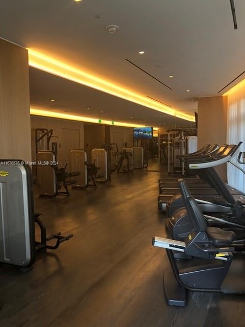 gym featuring wood-type flooring