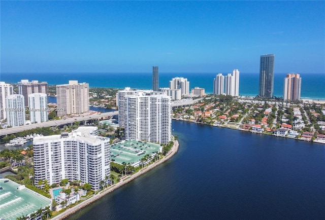 aerial view with a water view