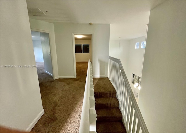 stairs featuring carpet