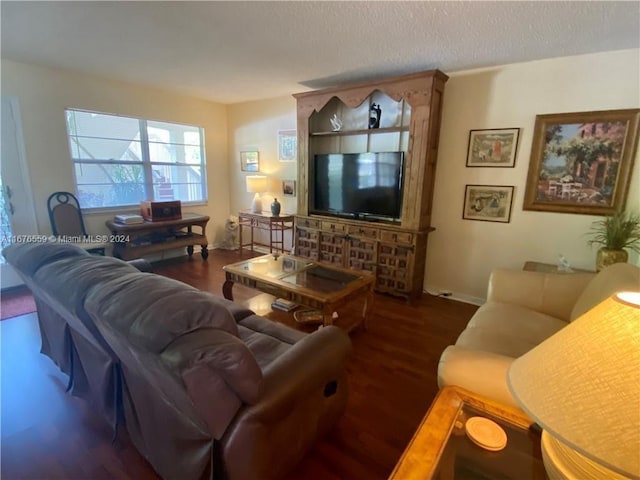 living room featuring dark hardwood / wood-style flooring