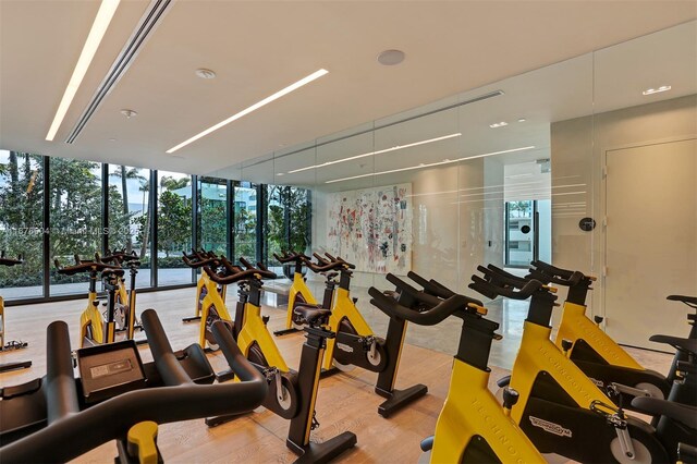 workout area with light hardwood / wood-style flooring and floor to ceiling windows