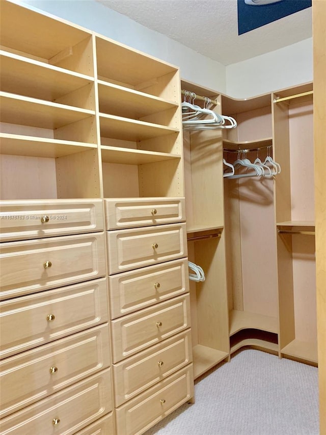 spacious closet featuring light colored carpet