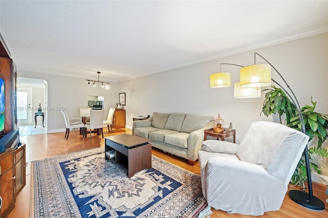 living room with ornamental molding and wood-type flooring