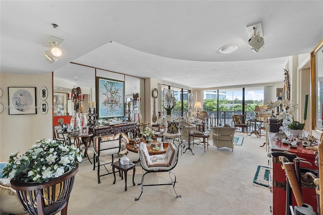 living room featuring light carpet and floor to ceiling windows