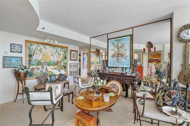 sitting room featuring light carpet and a textured ceiling