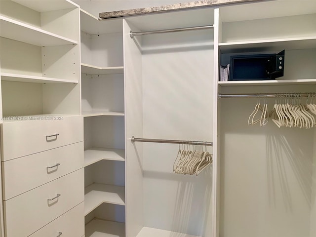 view of spacious closet