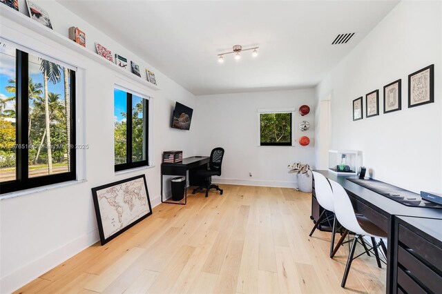 office featuring wood-type flooring