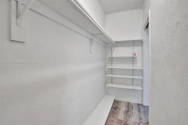 walk in closet with light hardwood / wood-style floors