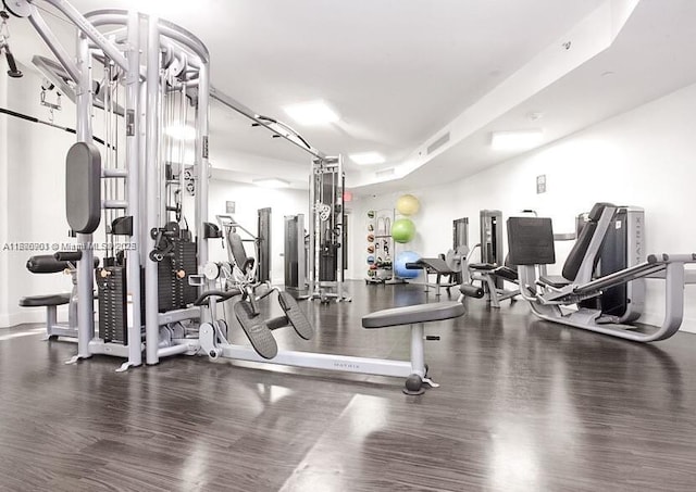 3300 NE 192nd St Unit 414, Aventura, FL 33180 - gym featuring wood finished floors