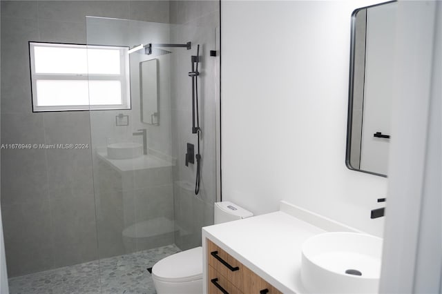 bathroom with vanity, toilet, and walk in shower