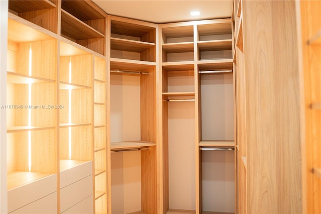 view of walk in closet