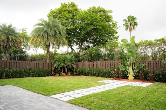 view of yard featuring a patio area