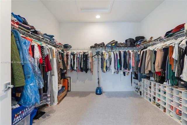 spacious closet featuring carpet floors