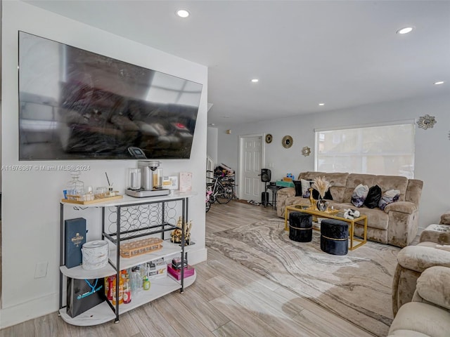 living room with light hardwood / wood-style flooring