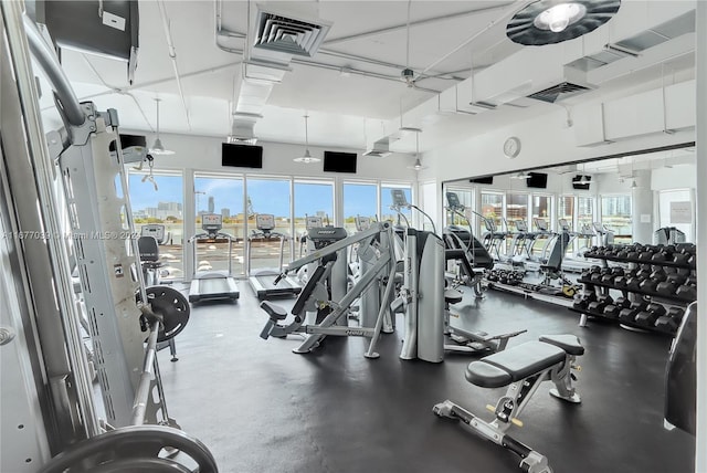 exercise room with a wealth of natural light