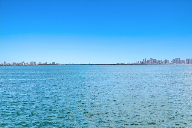 water view featuring a view of city