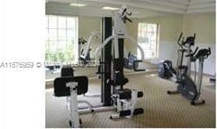 exercise room with a healthy amount of sunlight and carpet