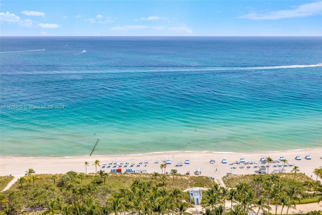 property view of water featuring a view of the beach