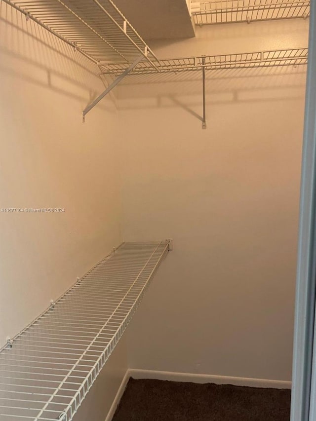 spacious closet with carpet