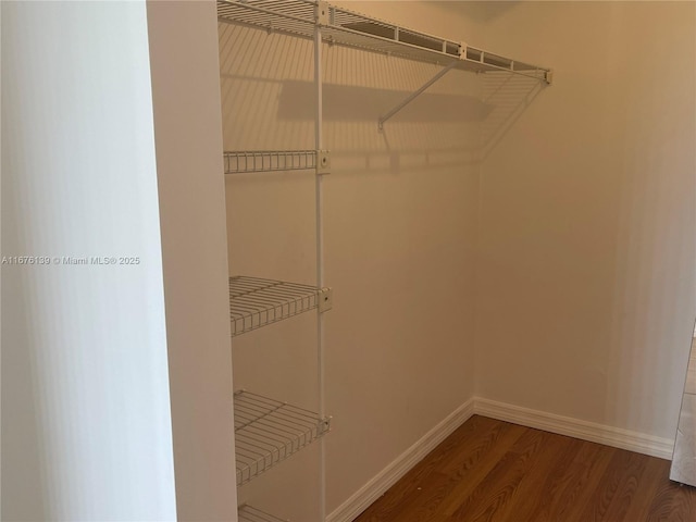 spacious closet with dark wood-type flooring