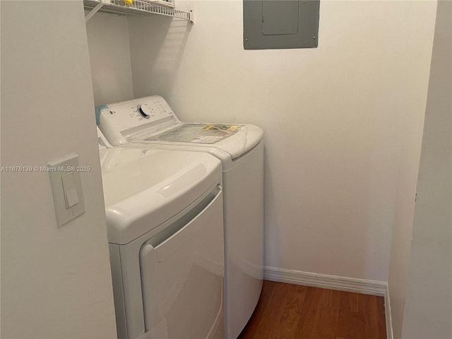 laundry area featuring washer and clothes dryer, dark hardwood / wood-style flooring, and electric panel