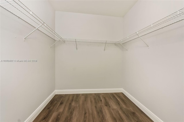 spacious closet featuring dark hardwood / wood-style flooring