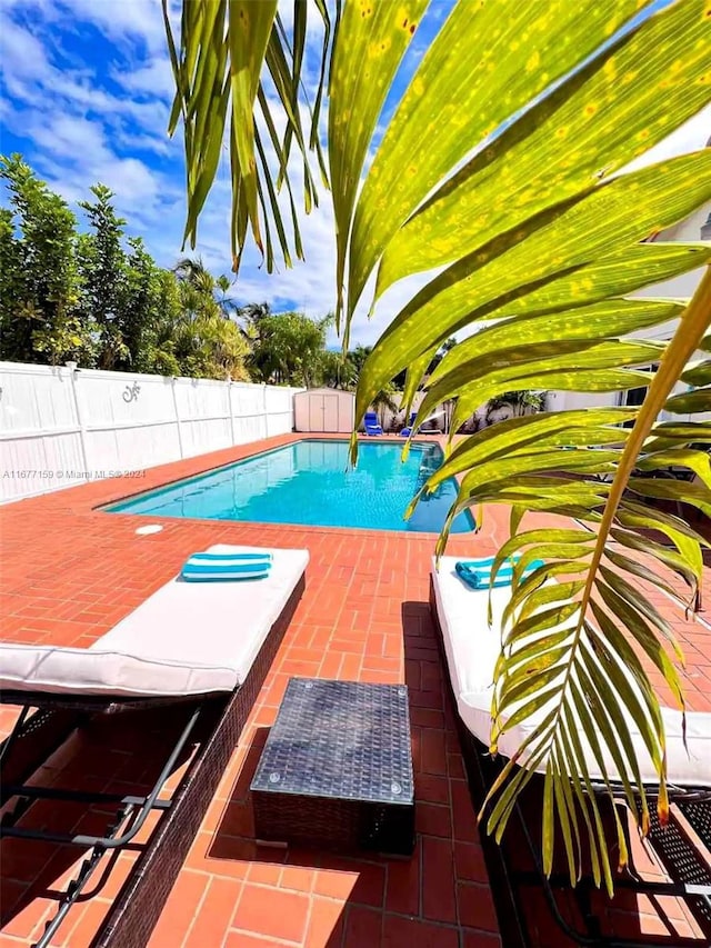 view of swimming pool with a patio