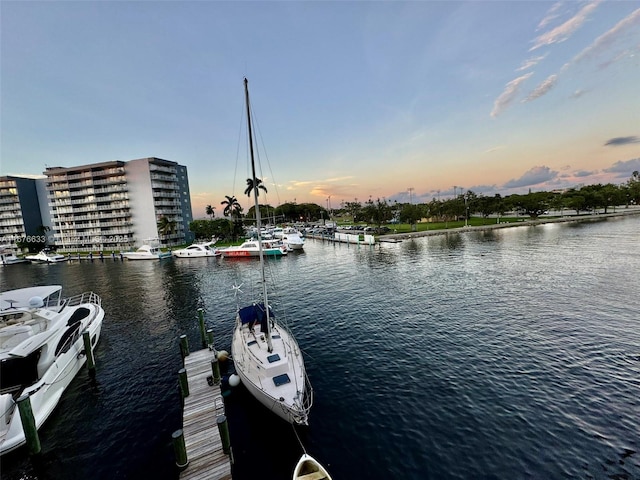 dock area with a water view