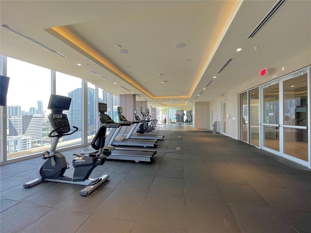 workout area featuring a healthy amount of sunlight and floor to ceiling windows