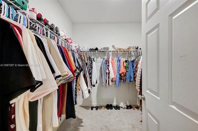 walk in closet with carpet