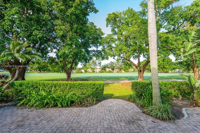 view of home's community with a yard