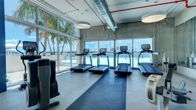 gym featuring a towering ceiling and plenty of natural light